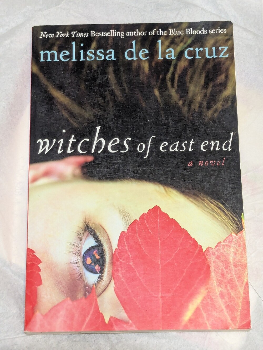Witches Of East End by Melissa De La Cruz Book